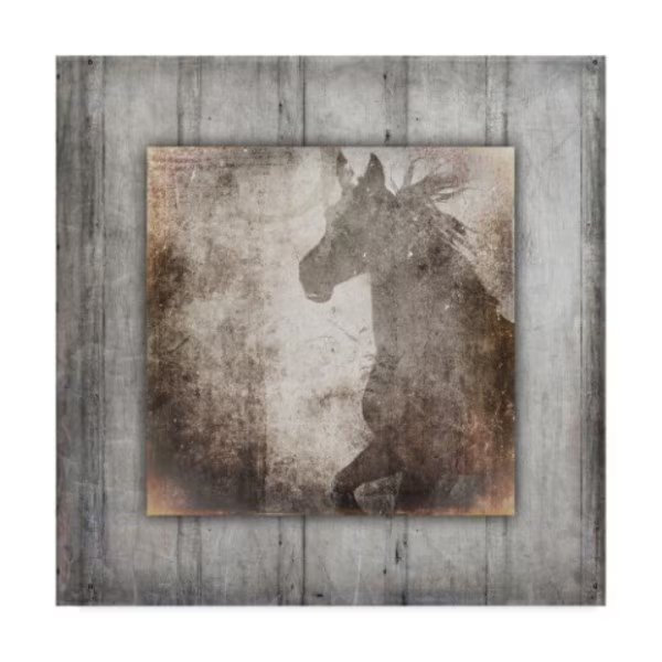Lightboxjournal 'Gypsy Horse Right Frame.' Canvas Art, 35x35, Trademark Fine Art, Mfr#: ALI23761-C3535GG